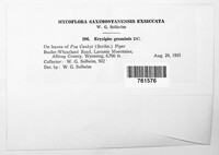 Image Associated With the Occurence